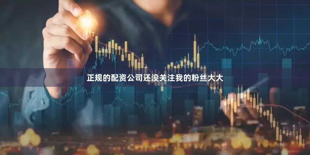 正规的配资公司还没关注我的粉丝大大