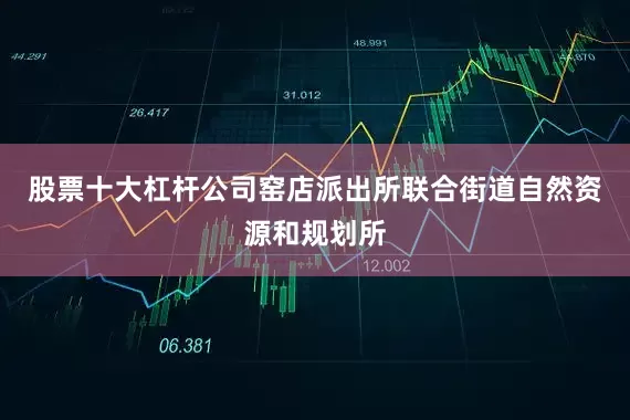 股票十大杠杆公司窑店派出所联合街道自然资源和规划所