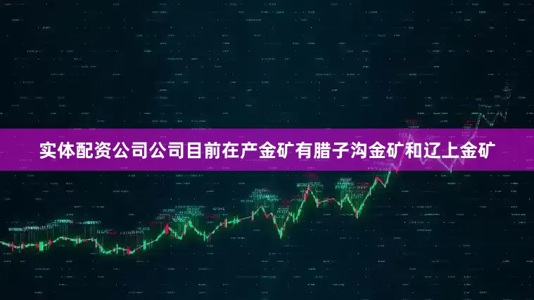 实体配资公司公司目前在产金矿有腊子沟金矿和辽上金矿